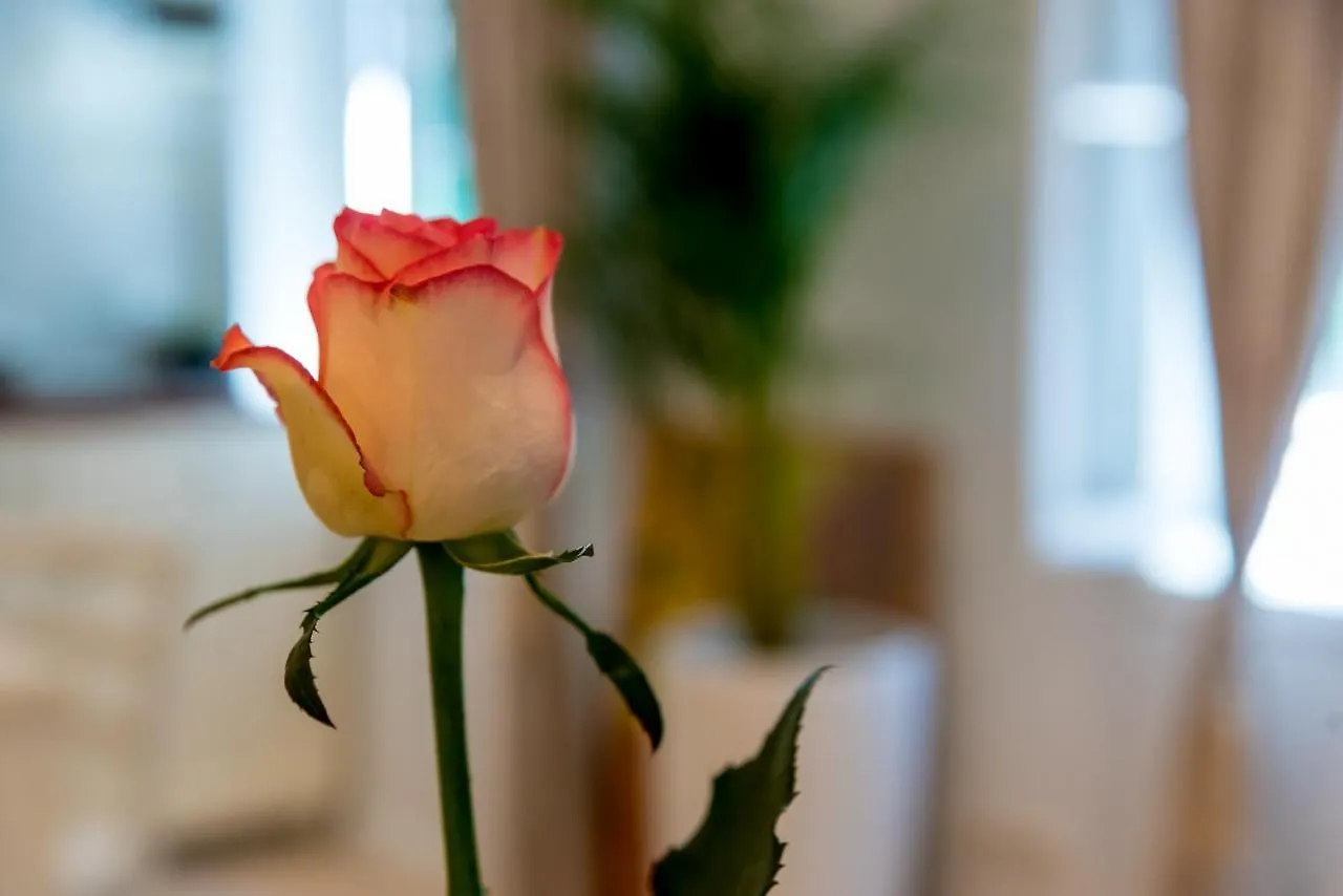 Charming Old Town Apartment Pjaca ספליט קרואטיה